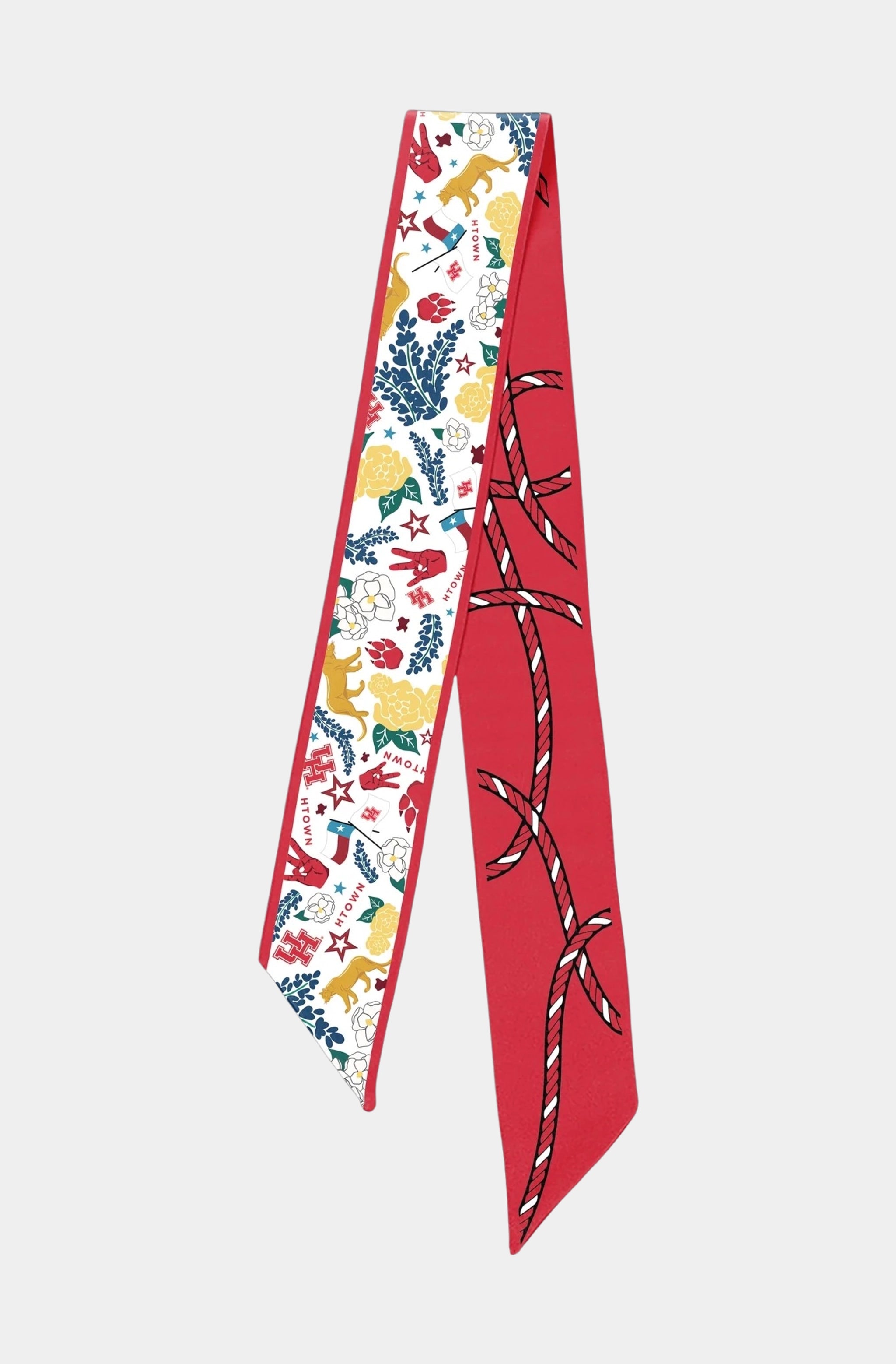 Arkansas Razorbacks Skinny Scarf