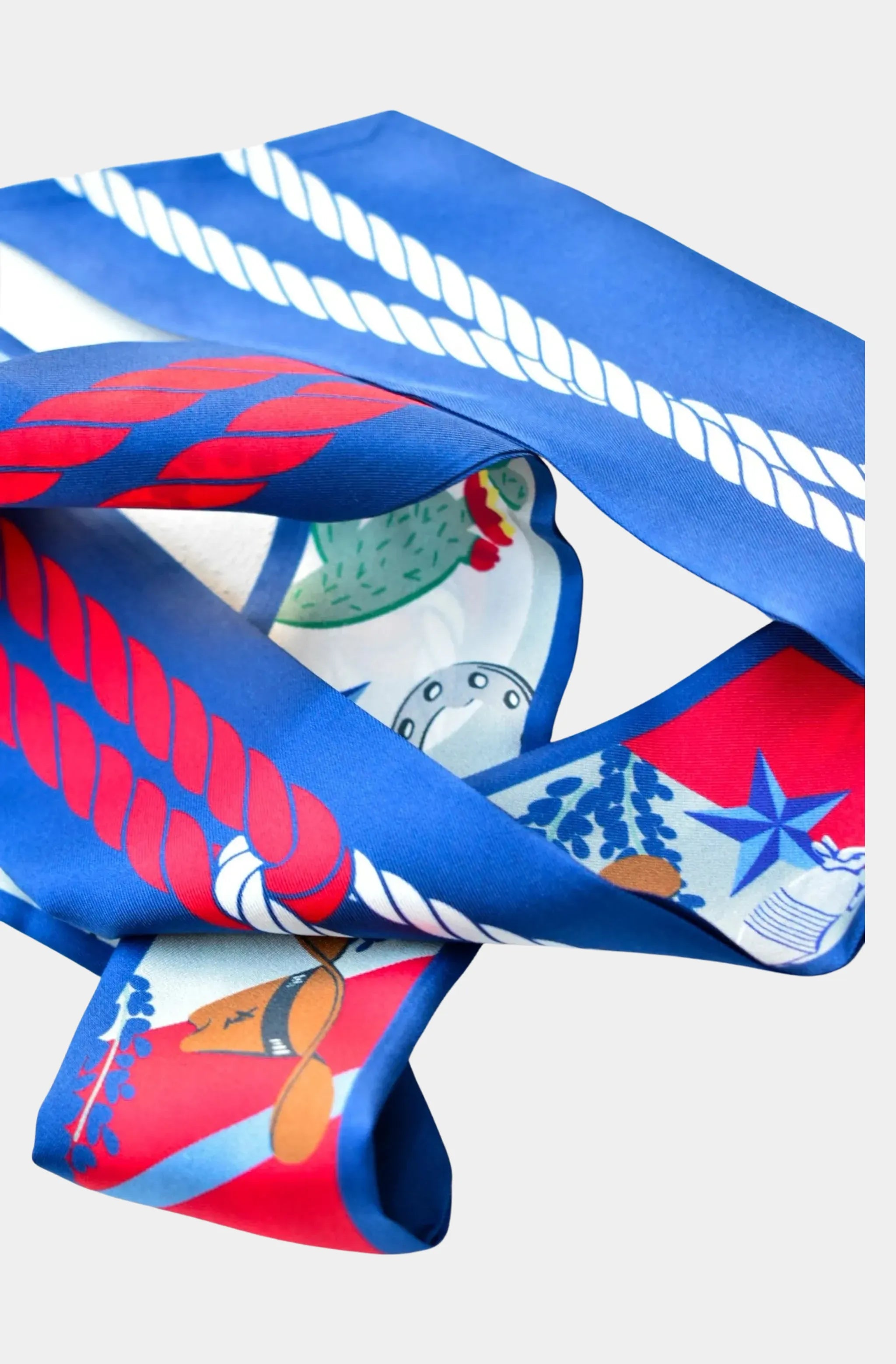 Lone Star State Skinny Scarf