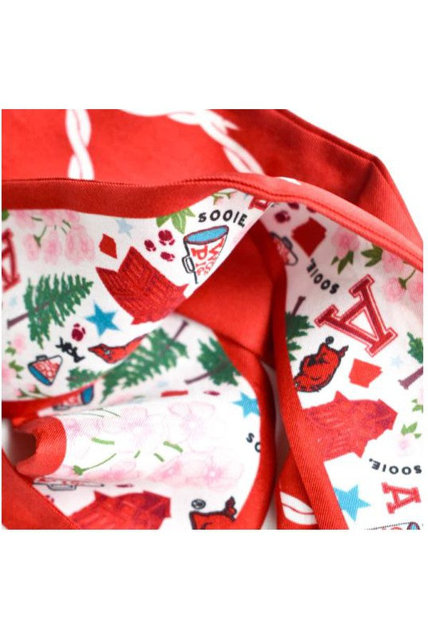 Arkansas Razorbacks Skinny Scarf