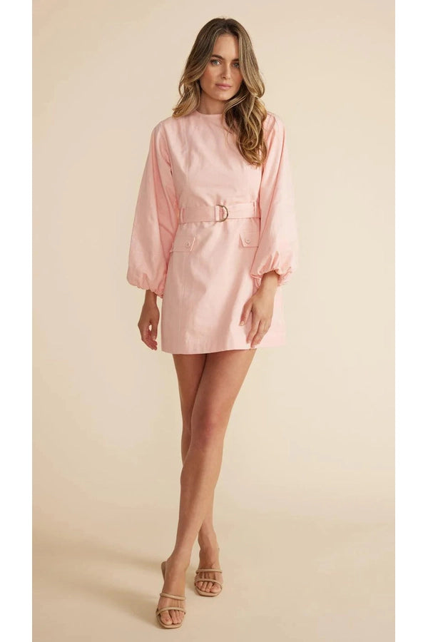 Emery Mini Dress