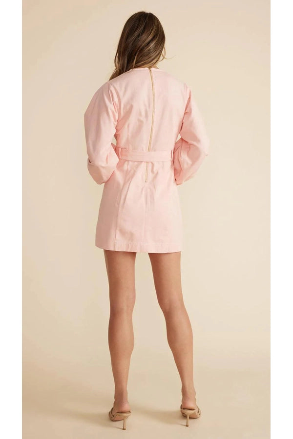 Emery Mini Dress