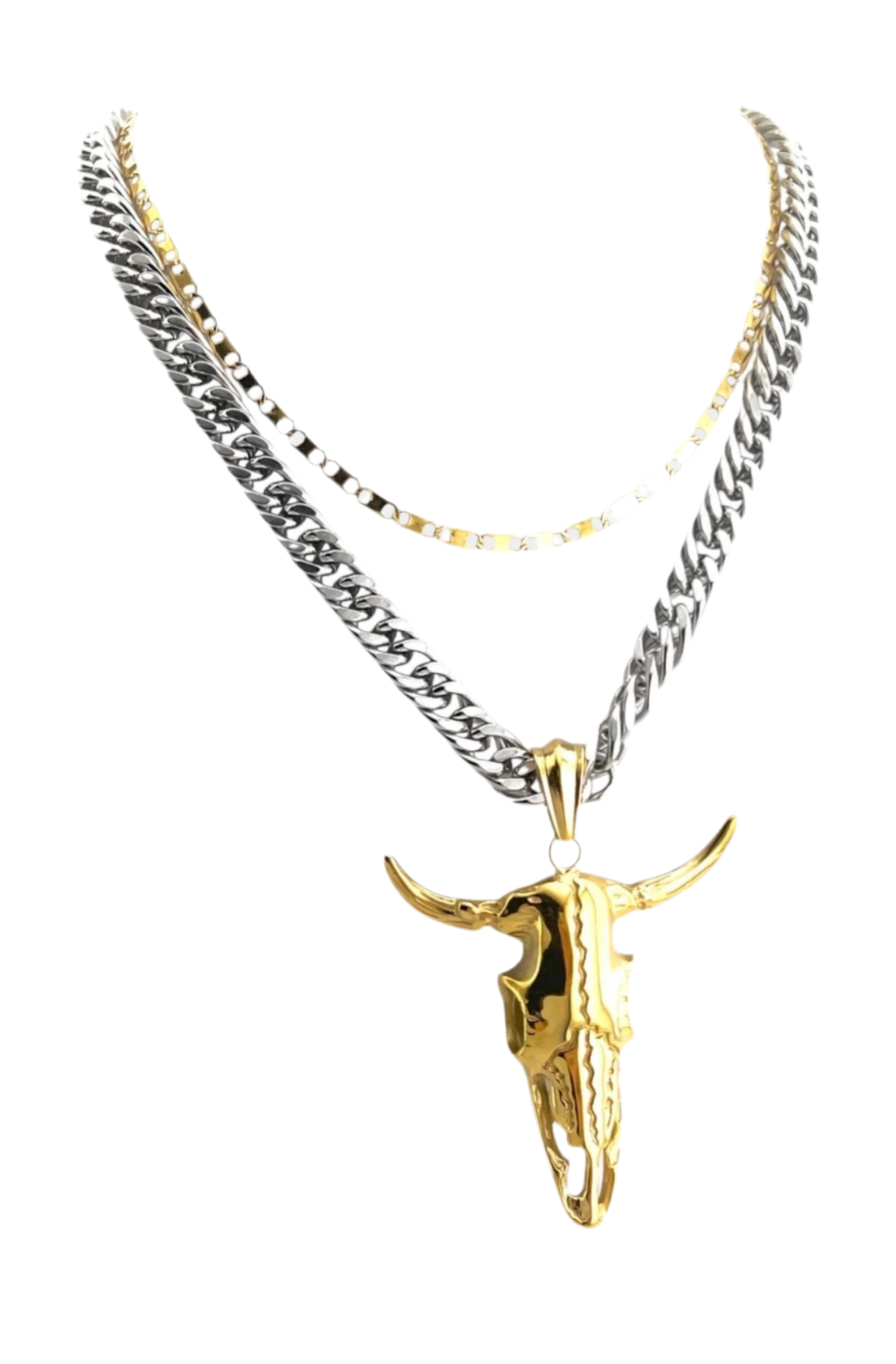 Big Bull Skull