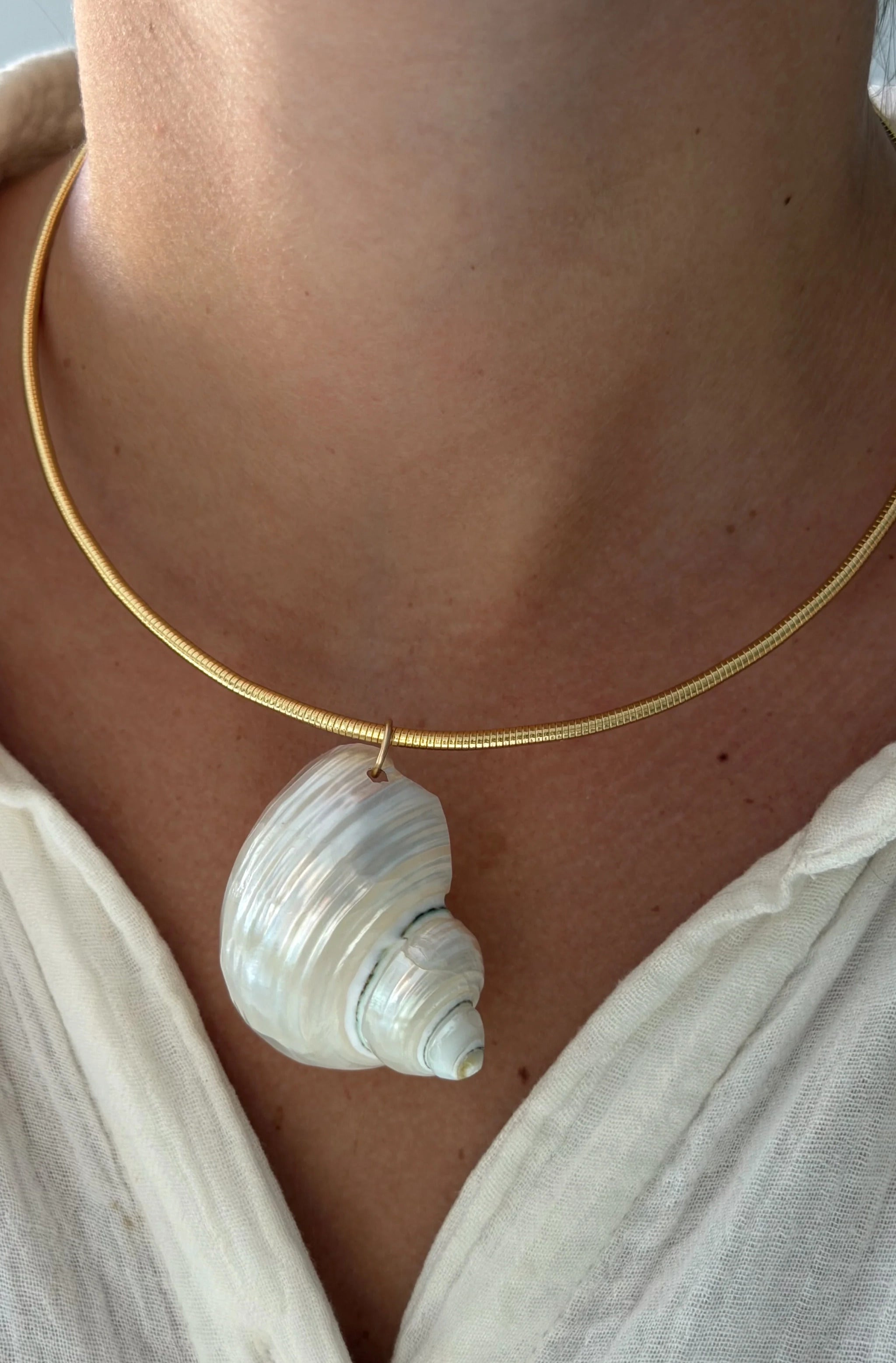 Turbo Shell Collar Necklace